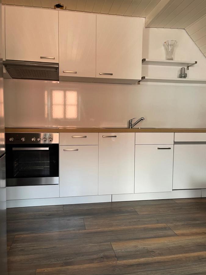 Ferienwohnung Am Schloss Leipheim Naehe Legoland Dış mekan fotoğraf